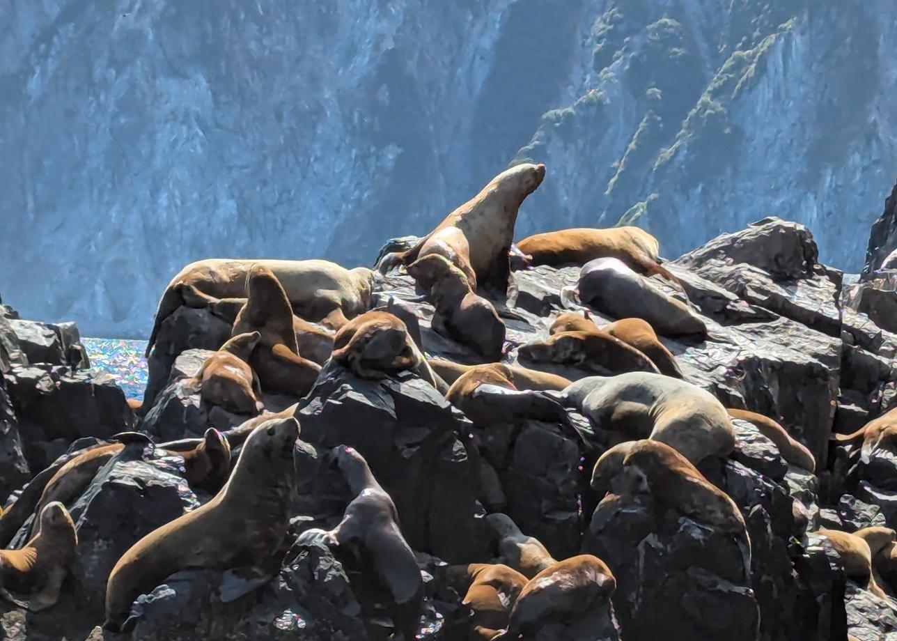 Ездили в тур с мамой, много впечатлений, как на другую планету попали, гиды и инструктора комфортные