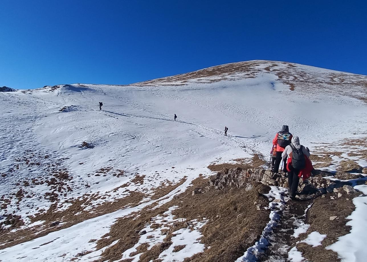 Недавно вернулись из солнечной Ингушетии. Тур 6 дней, из них 2 дня - трансфер, 4 дня- трекинг.
