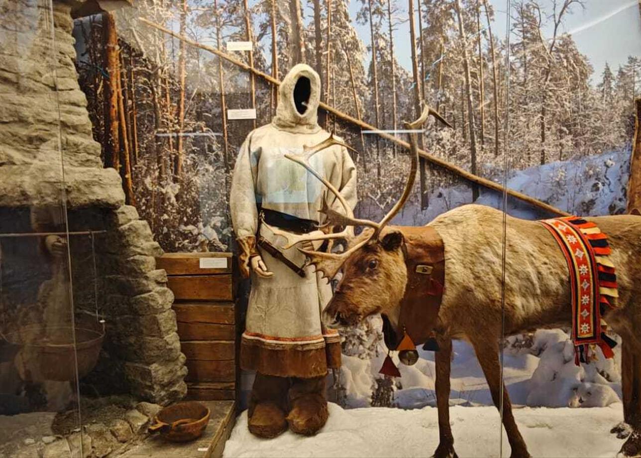 Всё было очень здорово! Это полный восторг! Организация, атмосфера, очень насыщенная программа! Видели морских животных тюленей