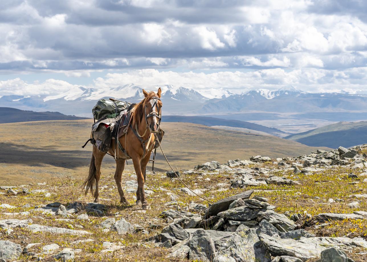 Алтай. Чокпортас