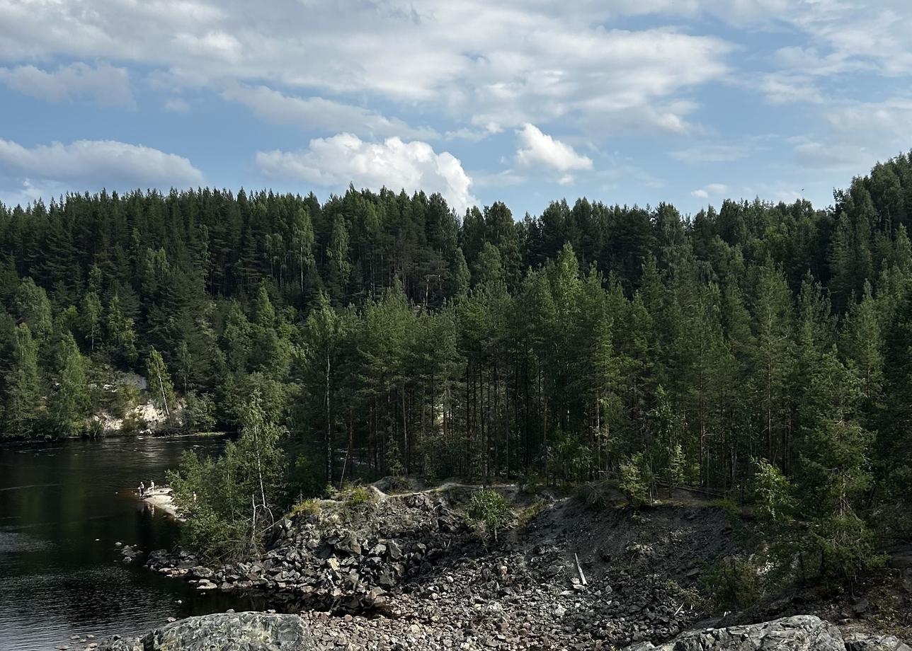 Насыщенная, интересная программа.