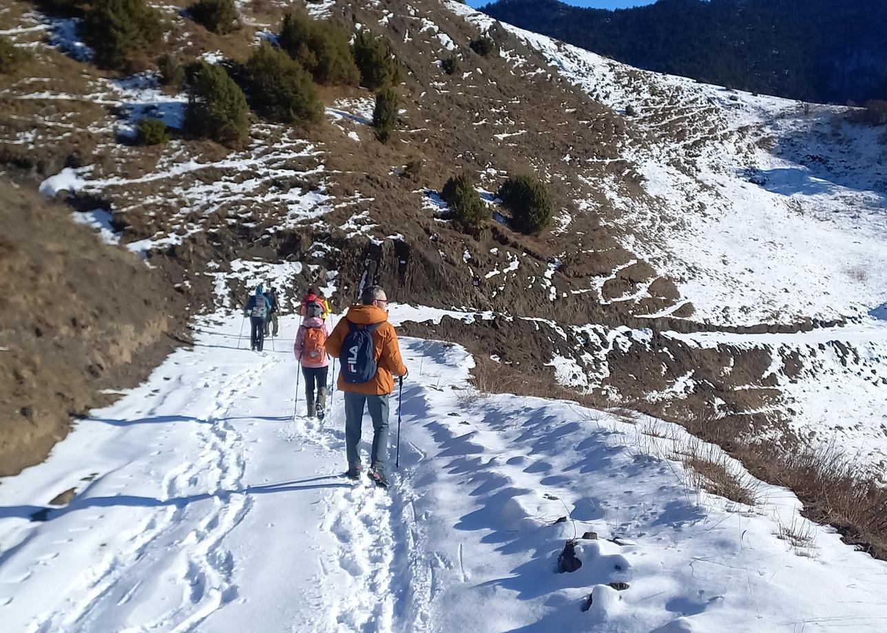 Недавно вернулись из солнечной Ингушетии. Тур 6 дней, из них 2 дня - трансфер, 4 дня- трекинг.