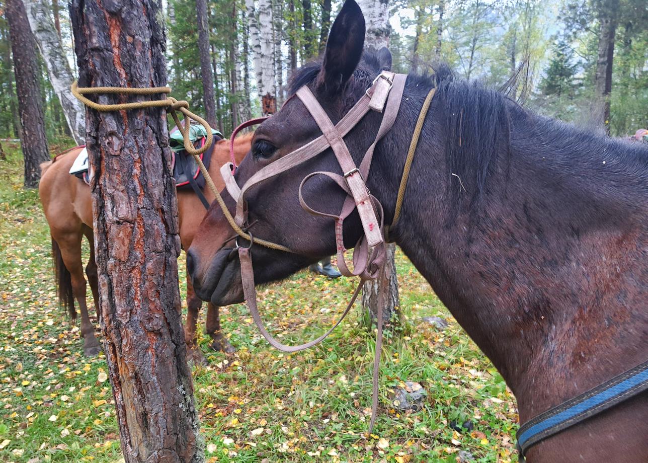 Тур очень насыщенный, несмотря на то, что короткий. Полностью отрываешься от работы, проблем, рутины и всего остального.