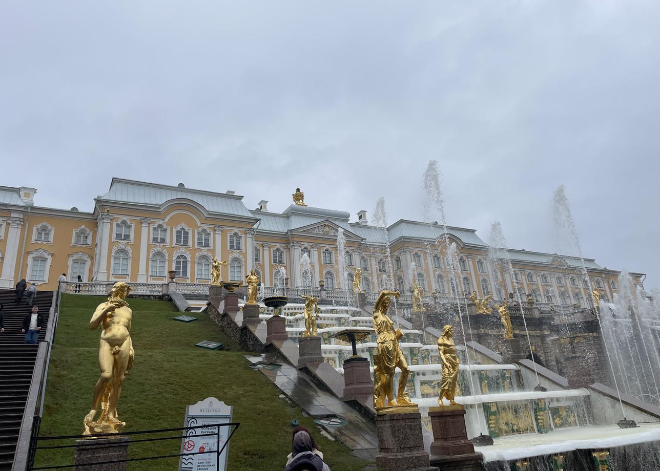 Все понравилось, рекомендую