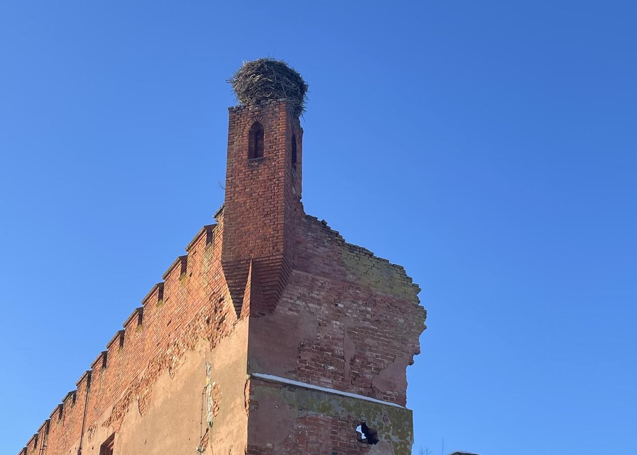 Я первый раз была в Калининградской области и ни о чём не пожалела. Было очень интересно