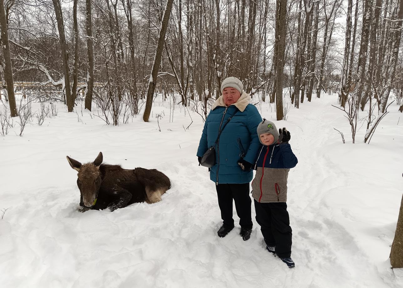 Замечательный тур! Организовано отлично! Новый год получился на славу. Ехали большой семьёй 6 человек с 2 маленькими детьми (6 и 8). Понравилось всем!