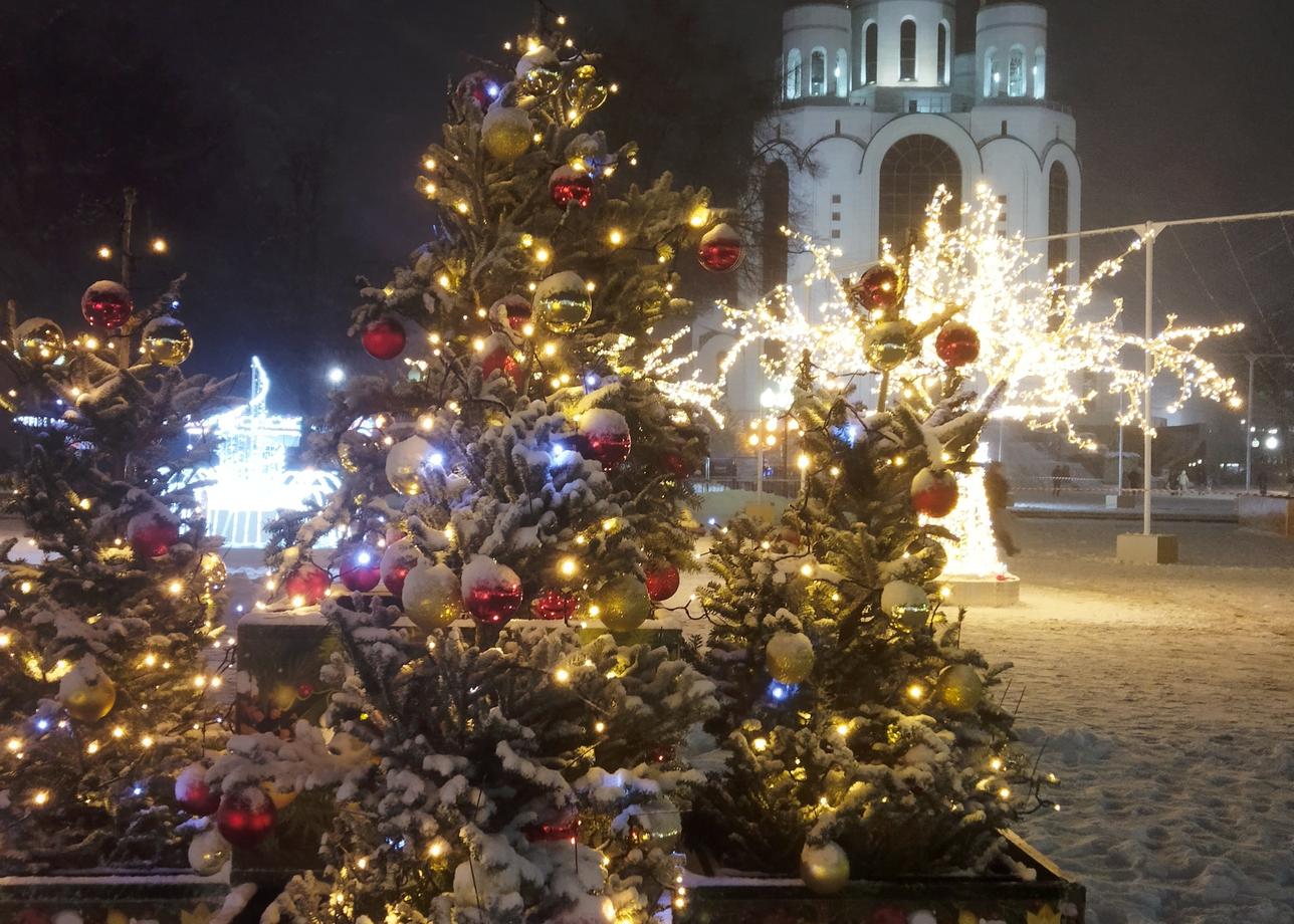 Очень понравился FRIDAY CENTER: вежливые и внимательные администраторы, великолепные экскурсоводы, заботливое обслуживание. В хостеле для проживания