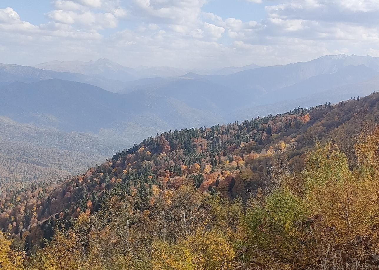 В &quot;Большую страну&quot; обращаемся уже не первый раз. Довольны, проблем не возникало никогда. Продолжайте в том же духе)))