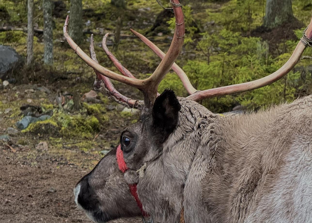 Первый раз взяла тур, ибо не хотелось заморачиваться с организацией. Я в восторге!