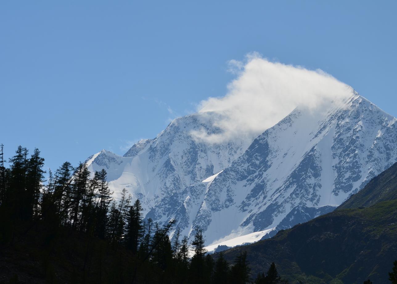 Алтай: к восточному склону Белухи. Конный тур на ледник Менсу