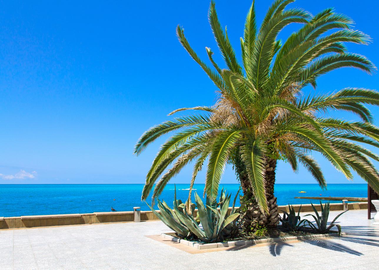 Сочинский эксклюзив. Тур на 4 дня