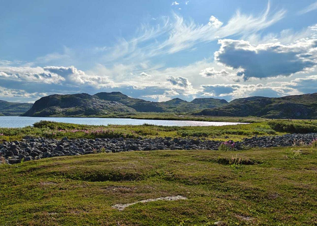 Всё было очень здорово! Это полный восторг! Организация, атмосфера, очень насыщенная программа! Видели морских животных тюленей