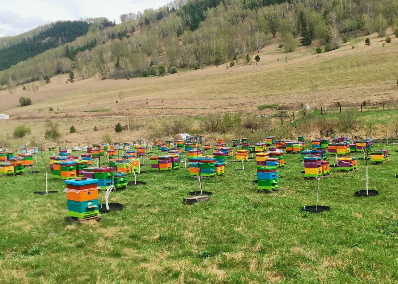 Всë было прекрасно организовано