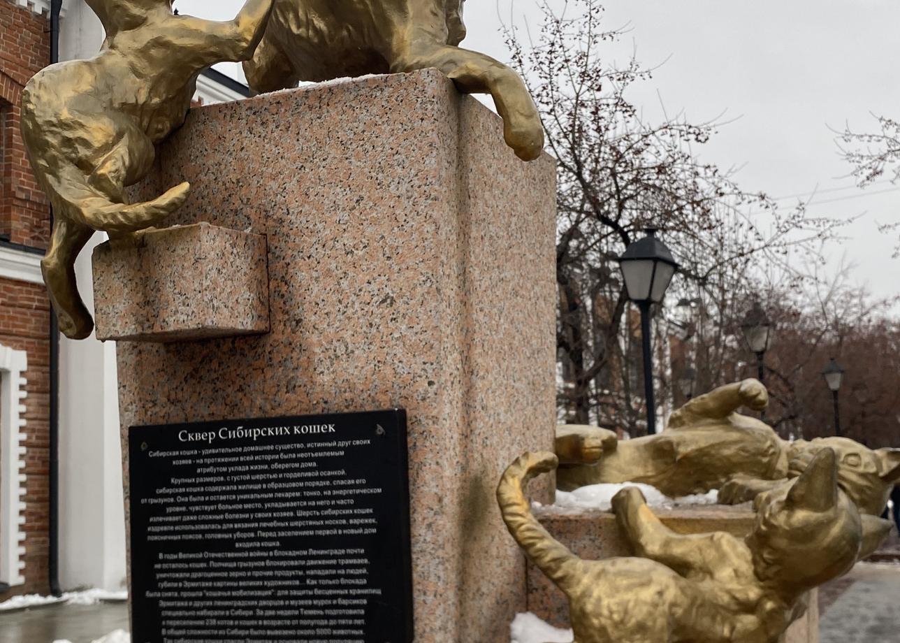 Приехала с тура "Черное золото Сибири, Тюмень и Тобольск"!