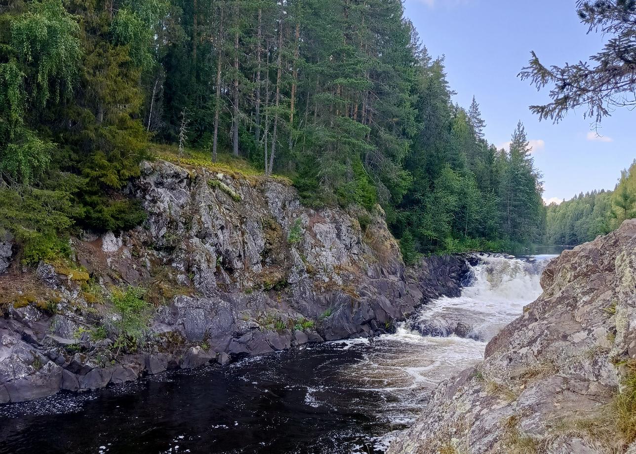 Программа насыщенная, все заявленное было осуществлено.