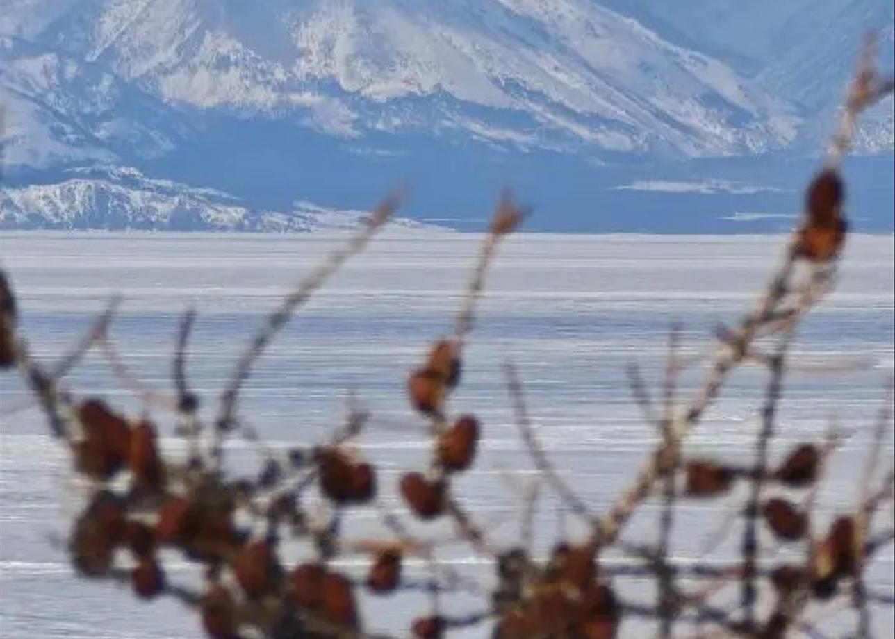 За все время тура у нас было два гида Максим и Дарья