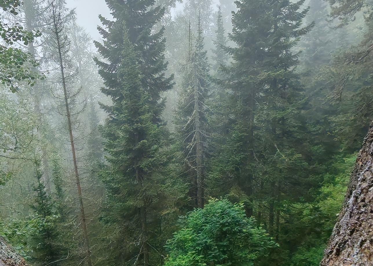Замечательный тур. Полный набор впечатлений. Замечательные гостиницы и старичок теплоход. Очень вкусно и обильно кормили. Все