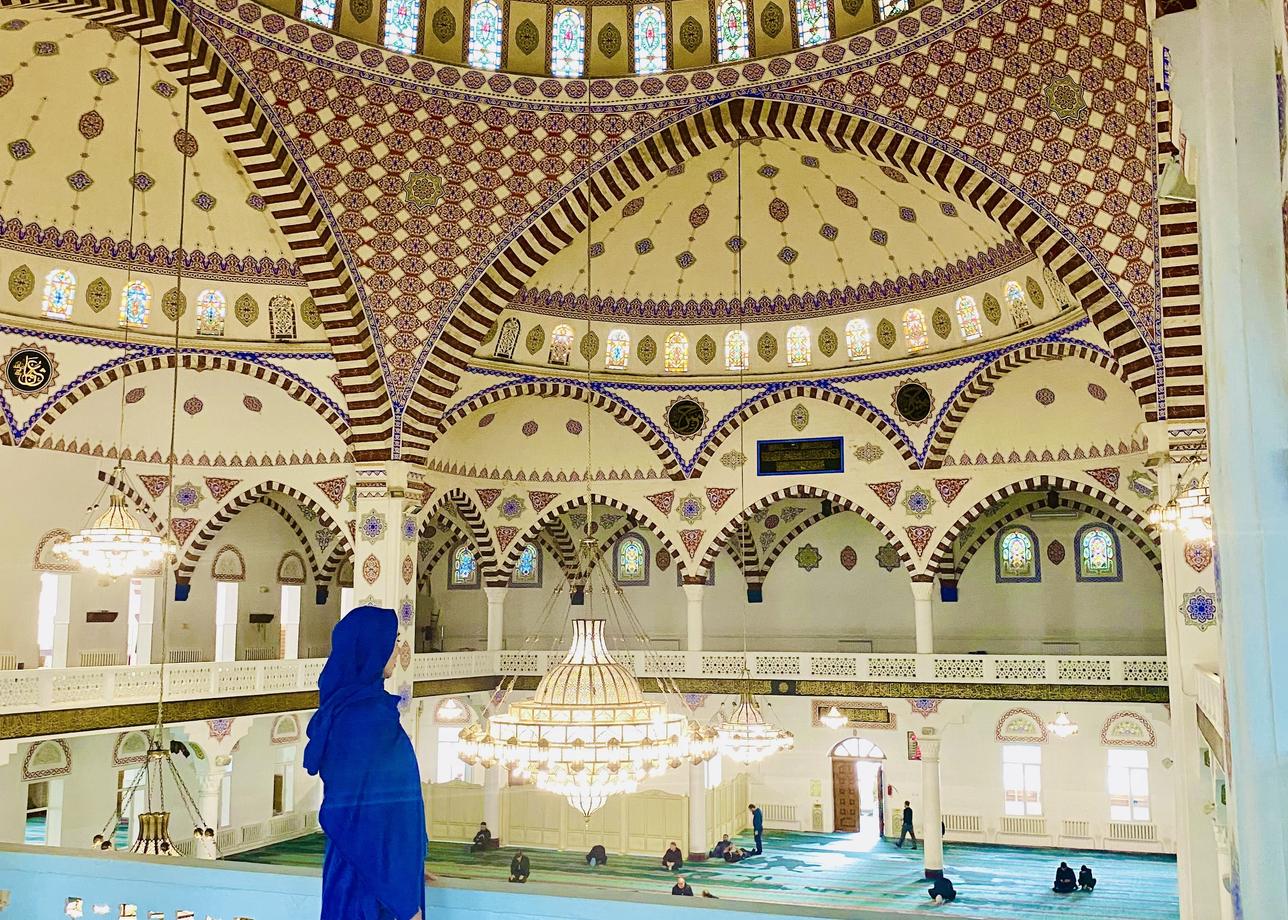 Их очень много. Все положительные 👍