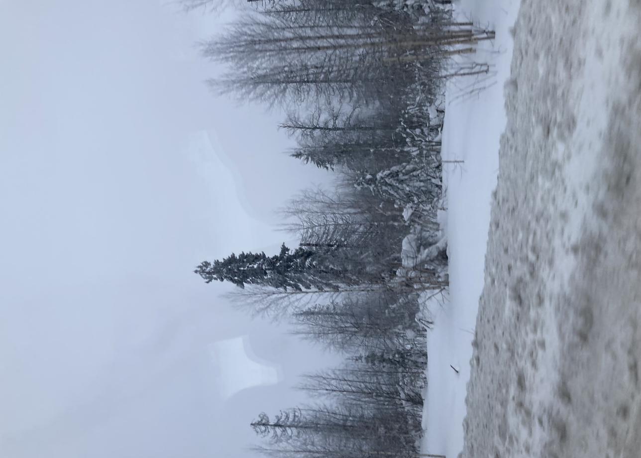 Я в восторге, просто сказка, при первой возможности приеду еще раз.