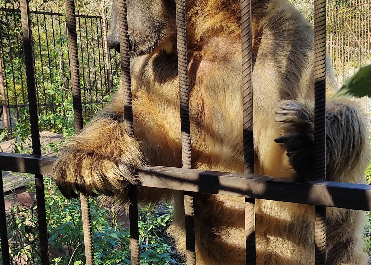 Поездка в Адыгею была замечательной. Давно мечтали с мужем съездить туда, но добраться сложно, хорошо, что