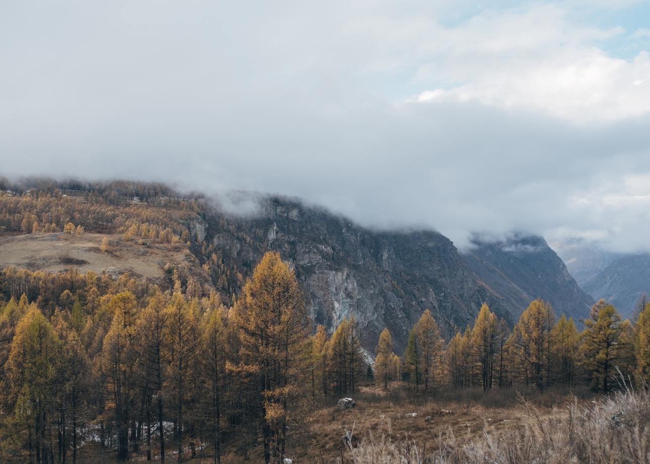 Тур очень понравислся. За 4 дня удалось посмотреть много красивых и разнообразных мест, познакомиться с историей