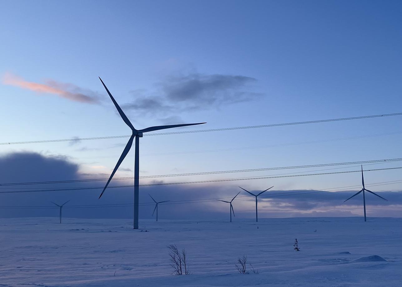 Порадовала поездка в Териберку, не удалось увидеть китов, но нам объяснили, что их сейчас тут нет