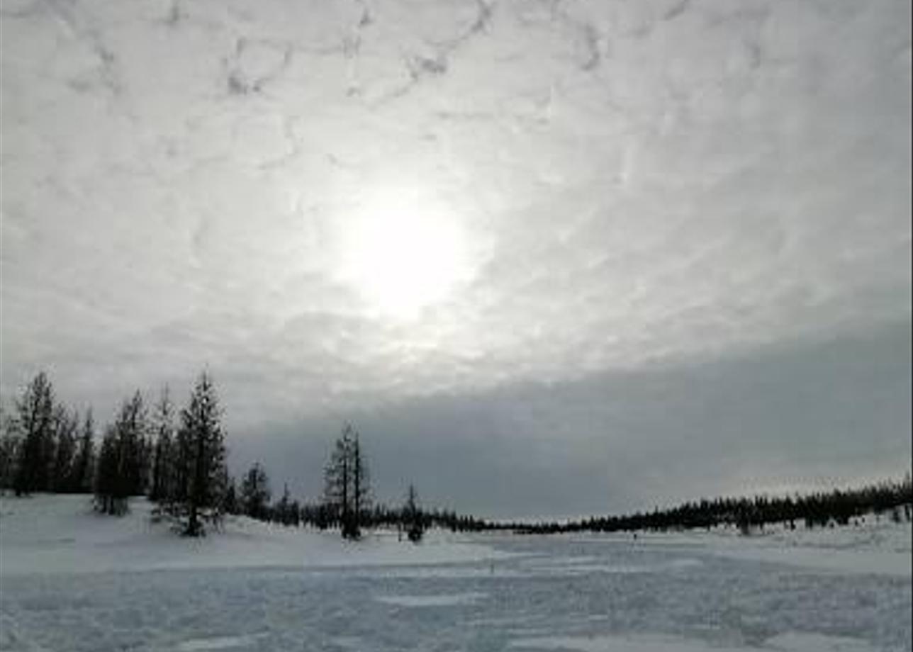 Я всем довольна.