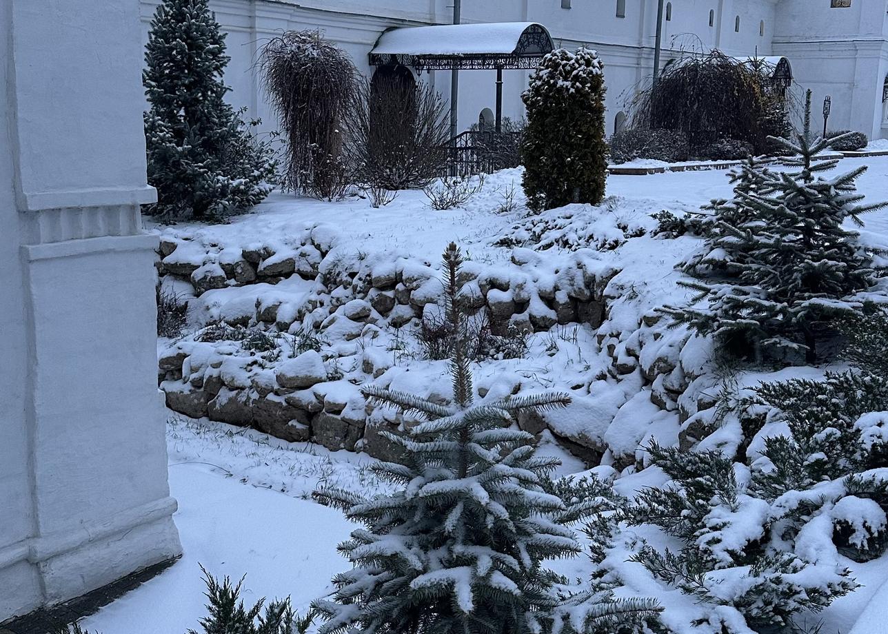 Все три дня, а сколько интересного, нового и красивого успели посмотреть