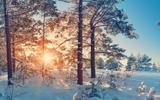 Величие Севера: железнодорожный круиз в Карелию, Архангельск и Великий Устюг