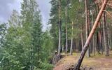 Фото туриста из тура «»