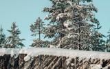 Крепость Корела. Сортавала. Экскурсия в горном парке «Рускеала»