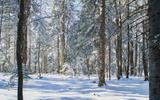 Прибытие. Термальные источники