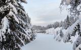 Петербург и гастрономическое приключение в Карелии