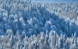 Геотермальный источник