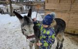 Фото туриста из тура «За китами под яркие огни. Полное погружение на Кольском»