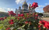 Незабываемые дни на берегах Невы. Неделя в Санкт-Петербурге