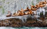 Морская прогулка до бухты Вилючинской