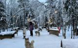 Саамские мотивы. Завершение программы
