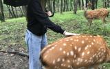 Фото туриста из тура «Владивосток и Находка»