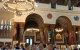 Фото туриста из тура «Белые ночи на Финском заливе. Релакс-тур на 6 дней в Санкт-Петербург: отдых на побережье с экскурсиями»