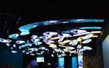 Приморский океанариум и смотровые площадки