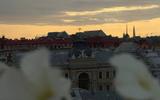 Фото туриста из тура «Классический летний Петербург на 5 дней»