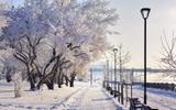 Обзорная экскурсия по Новосибирску. Новосибирский государственный художественный музей