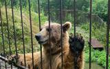 Купание в бассейнах с геотермальной водой. Экскурсия в Хаджохскую теснину