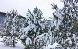 Встреча. Манжерок. Белоснежные предгорья Алтая
