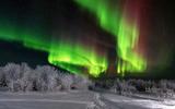 Самая северная пивоварня и дегустация. Знакомство с саамами и кулинарный мастер-класс. Рождественский барбекю-ужин