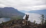 Кемпинг на озере Лама. Знакомство с плато Путорана