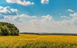 Воронеж, Старый Оскол и начало сплава