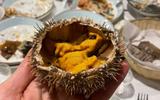 Знакомство со столицей Заполярья и арктической кухней