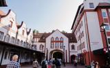 Светлогорск и замок Шаакен